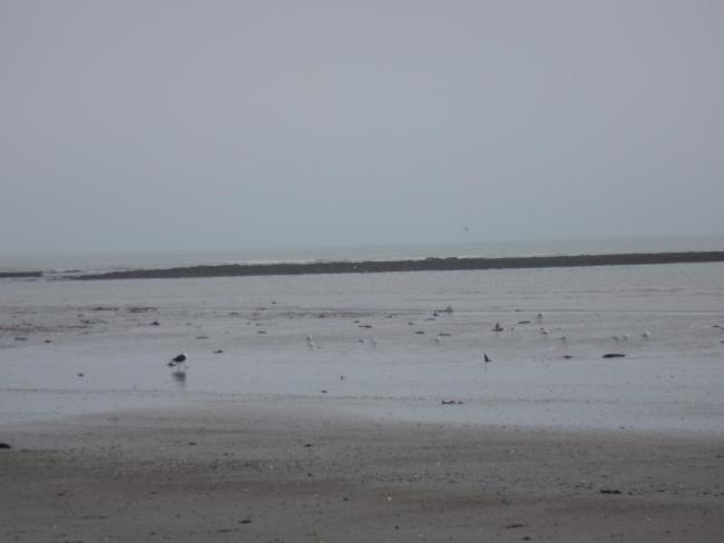 Ballycotton Bay