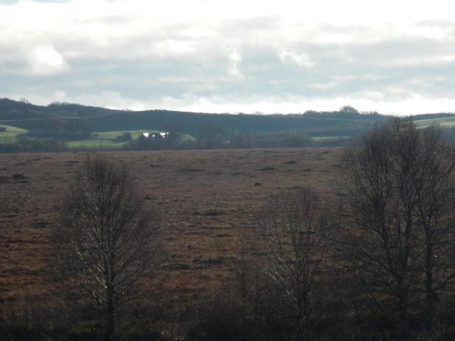Mongan bog
