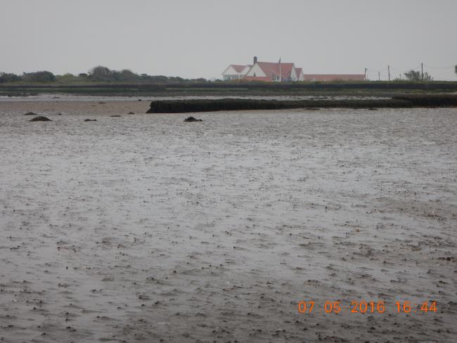 North Bull Island