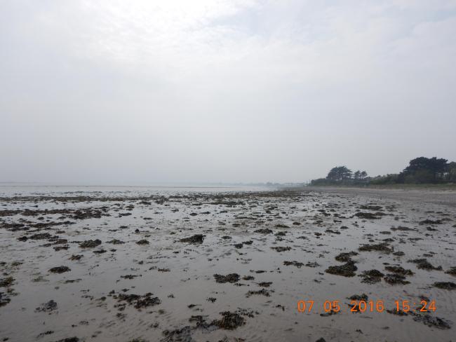 North Bull Island