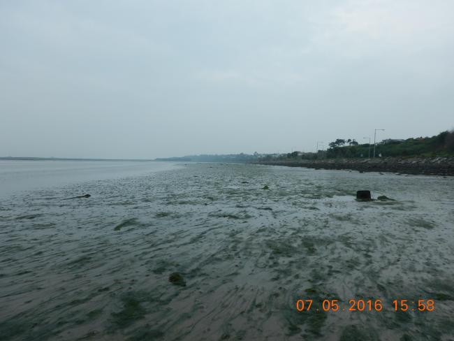 North Bull Island