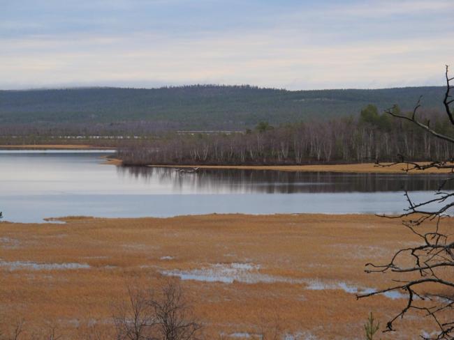 Pasvik Nature Reserve