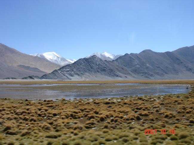 landscape of Maidika wetland