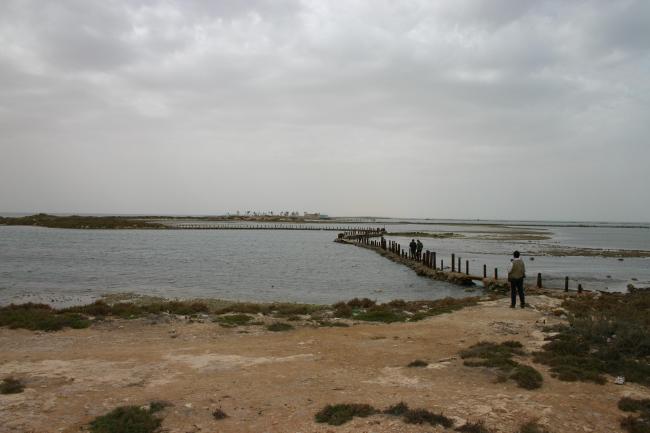 VUE SUR LA LAGUNE