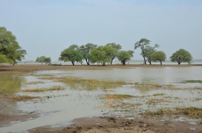 zone d'inondation temporaire