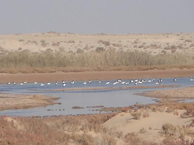 Chott Sidi Slimane