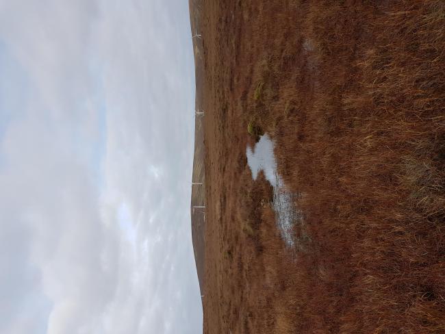 Pool within blanket bog, wind turbines in the background (not within the Ramsar site)