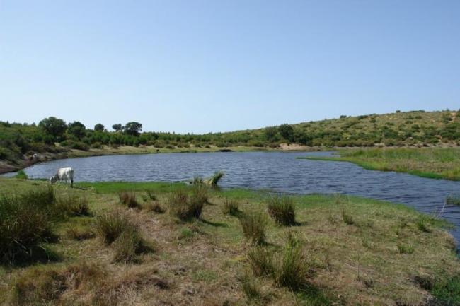 tourbière du lac noir