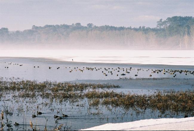 Marais Barrage en hiver 