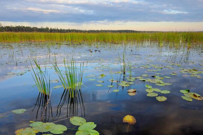 Domzheritskoe Lake