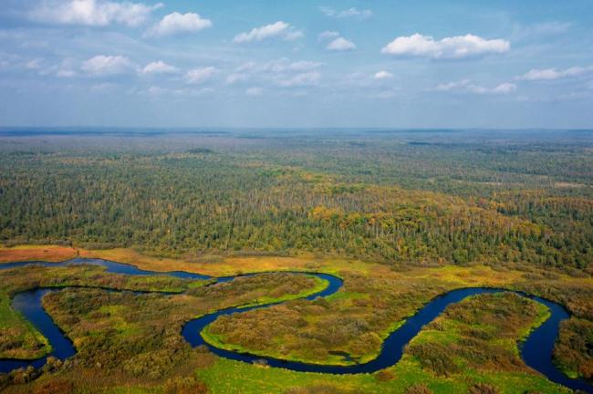 The left bank of the upper reaches of the Berezina River is occupied by a huge forest-swamp massif with a predominance of natural complexes undisturbed by man. 