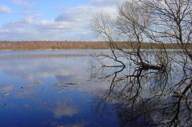 During the spring flood period the Berezina River floods the whole floodplain and surrounding swampy forests; the flood reaches a width of 2-4 km.