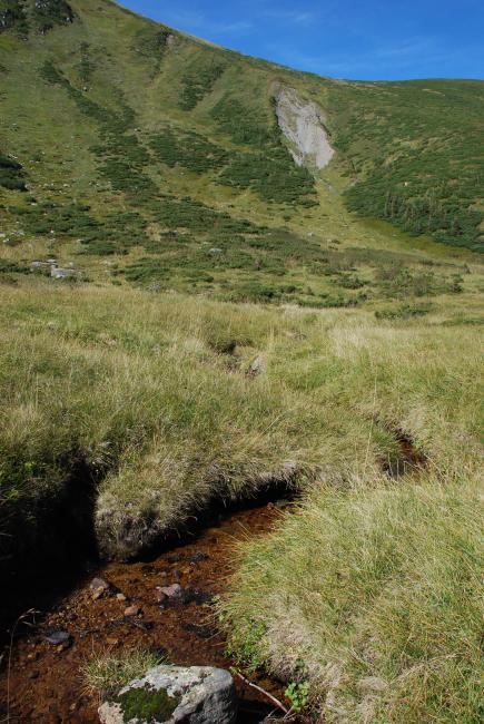 A rivulet in the boggy cirque between the mounts of Hoverla and Breskul