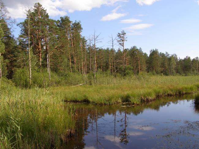 the Zholobnytsya River 