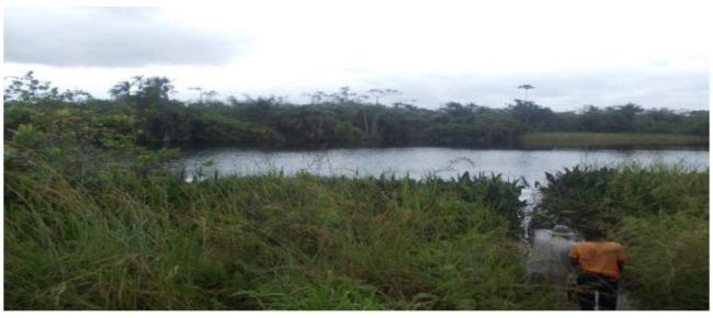 Lac Diboundi dans les environs du village Bangondo 2