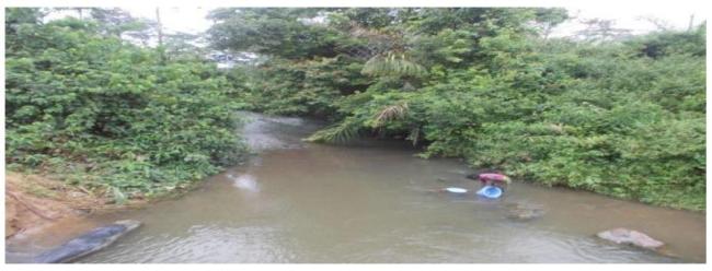 Rivière Louvasi en aval