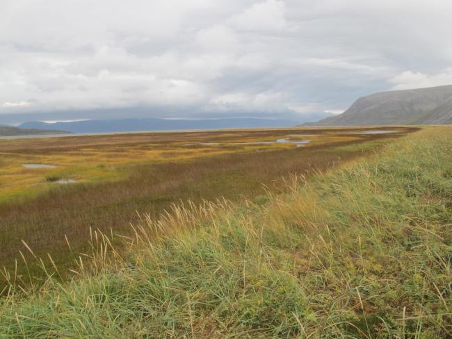 Tanamunningen, view towards Tanafjorden.