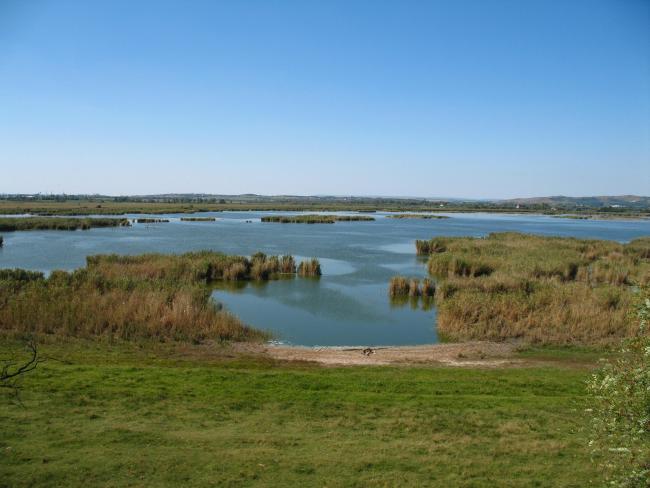 View of the Dinnyési-Fertő from the drinking site