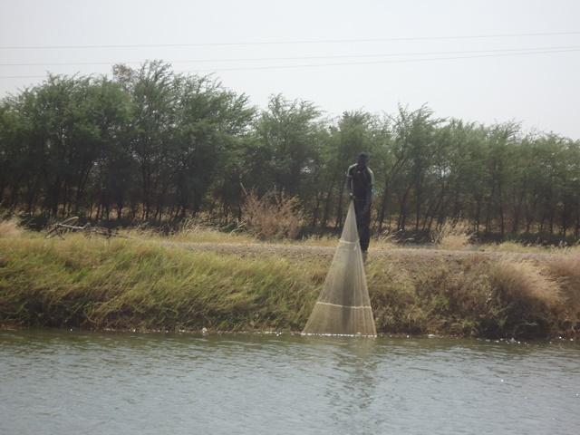 Photo 4 : Un pêcheur en pleine prise de poisson