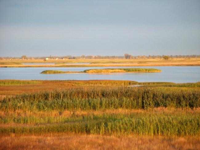 Lake Kelemen is one of the largest of the alkaline lakes in the Kiskunság