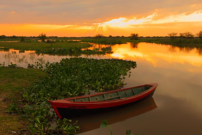 Canoa nutriera