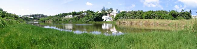 Panoramic view from the south-eastern end of Warwick Pond, Bermuda