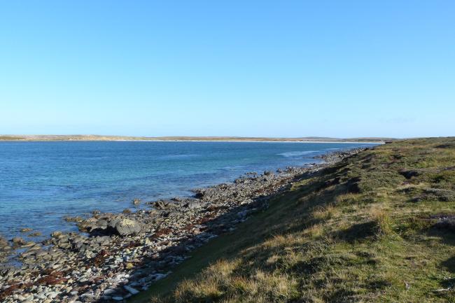 Wetland Types A & E - shallow marine waters and pebble shores