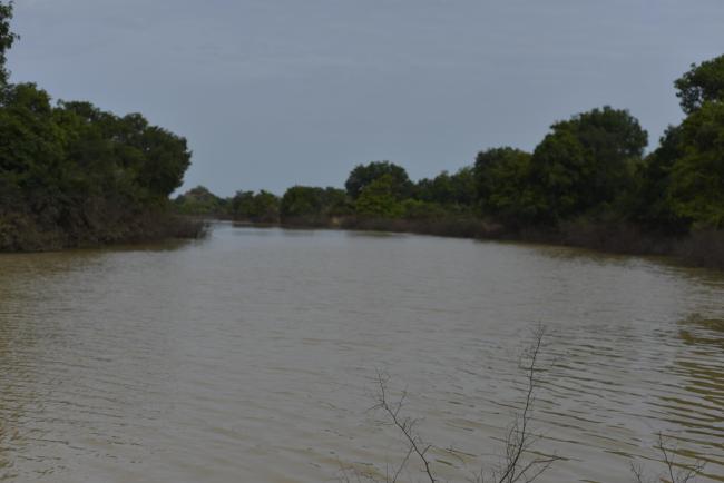 Cours d'eau dans le parc national du W