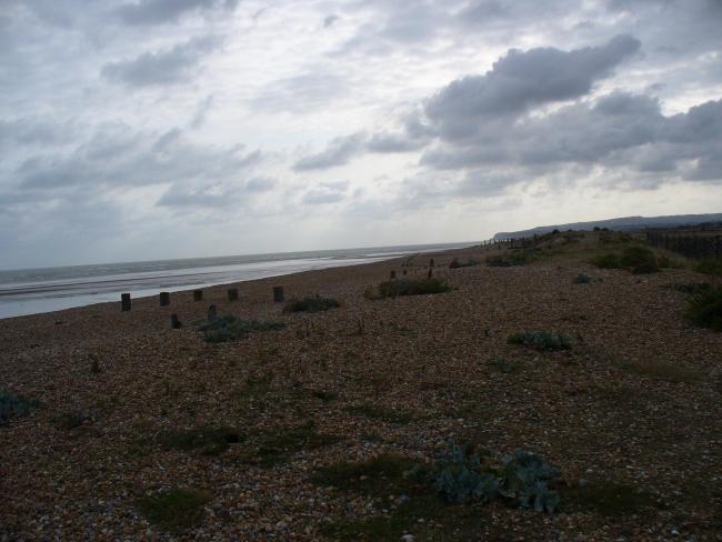 Dungeness and Rye Bay Ramsar Site: Rye Bay looking towards Hastings