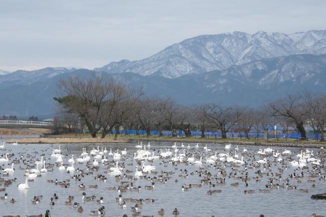 Hyo-ko in a fine clear day