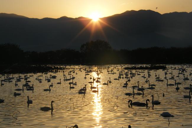 Hyo-ko at sunrise