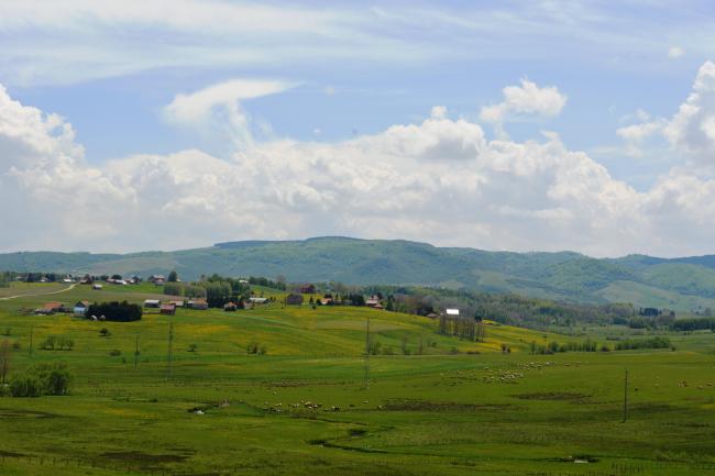 Landscape