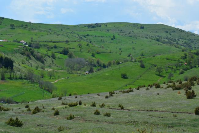 Landscape