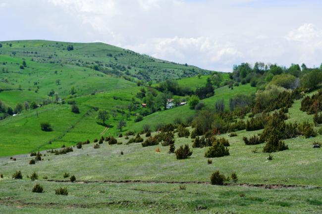 Landscape