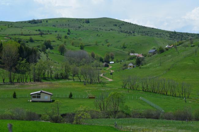 Landscape