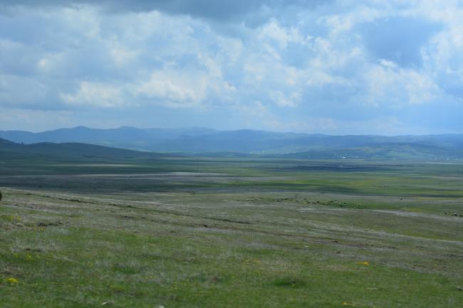 Landscape