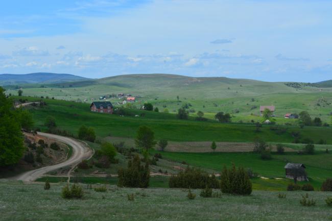 Landscape