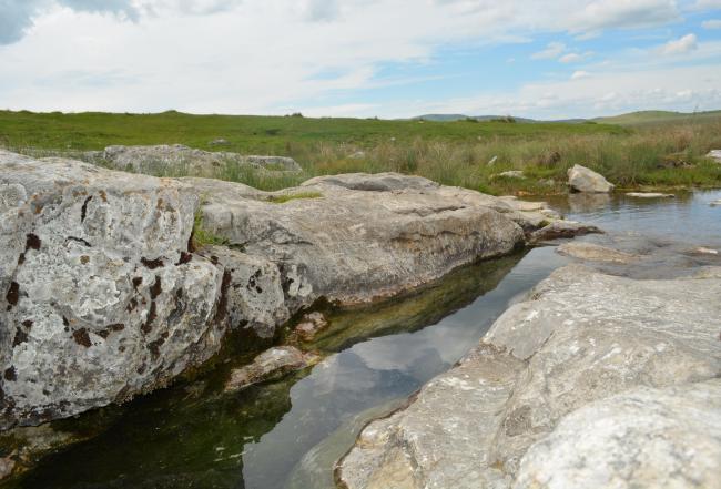 Djurdjevica spring