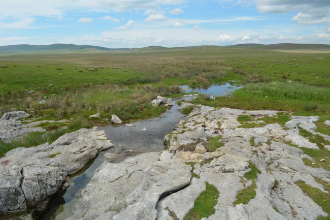 Djurdjevica spring