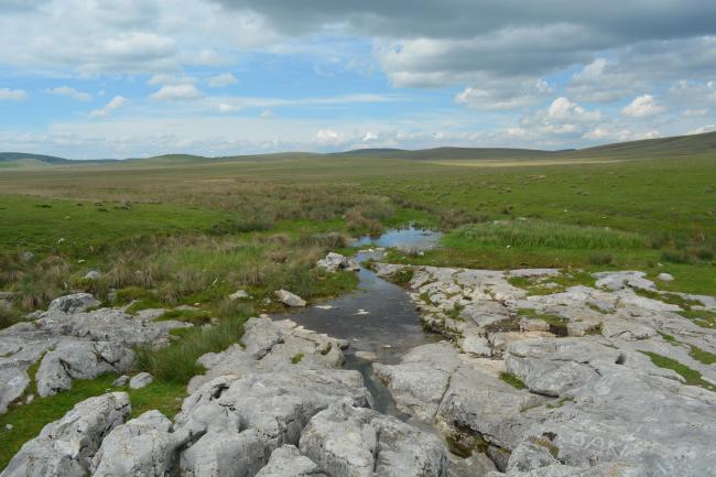 Djurdjevica spring