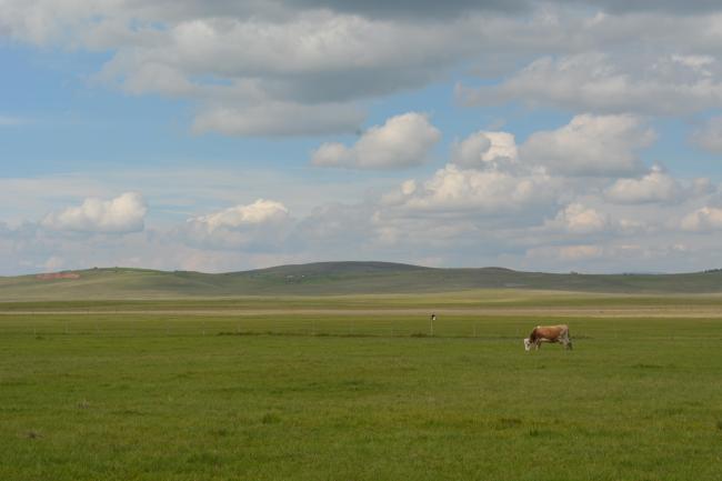 Landscape