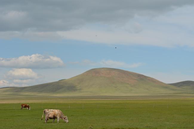The Trojan Hill, the highest peek on the Pešter Plateau (1351m a.s.l.) 