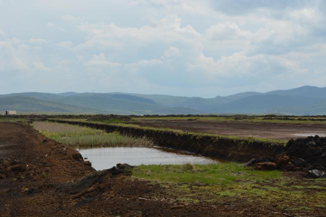 Exploitation of peat