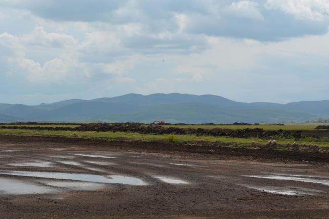 Exploitation of peat