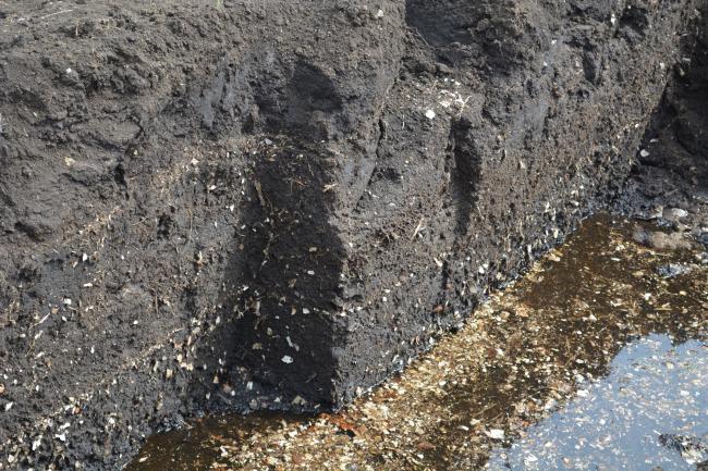 Exploitation of peat