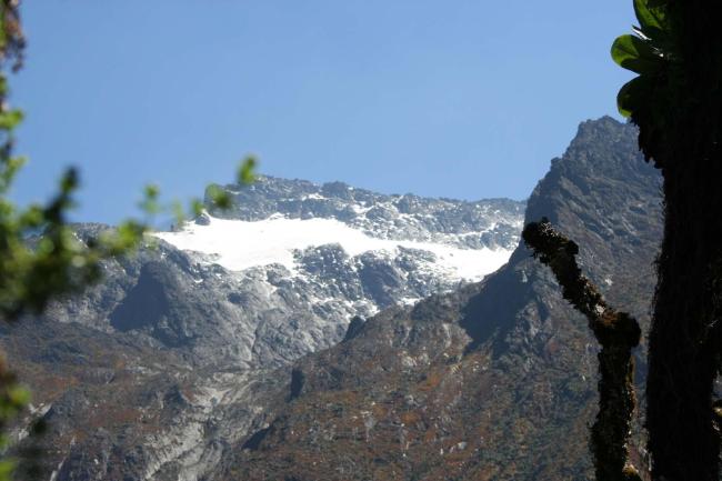 Speke Glacier