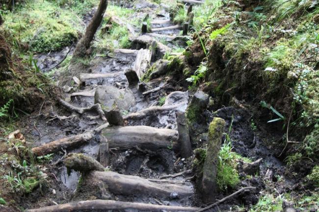 Terrible Trail