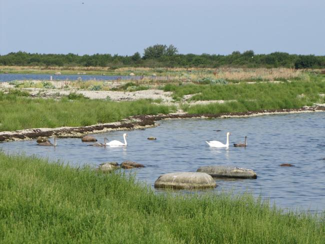 Vilsandi