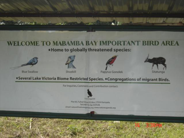 Mabamba