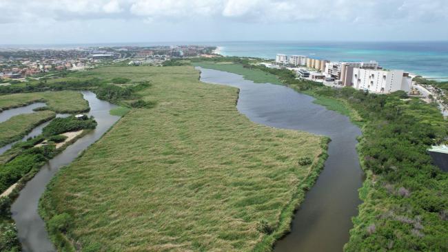 The Bubali Wetlands are an oasis between urban areas and high rise hotels.